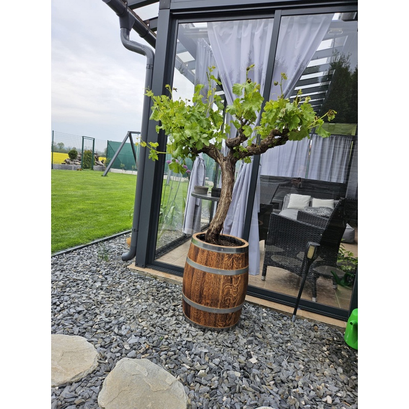 Cvjetna posuda od hrastove bačve (50L)